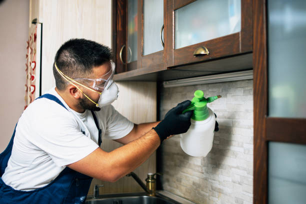 Best Affordable Pest Control Services  in Hyde Rk, PA