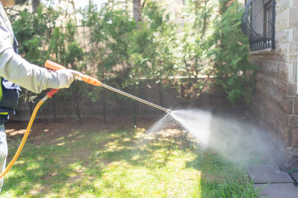 Trusted Hyde Park, PA Pest Control Experts