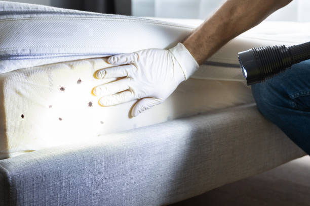 Best Pest Prevention Services  in Hyde Rk, PA